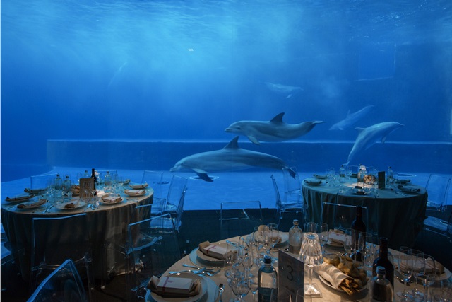 new year's eve dinner at the genoa aquarium, italy