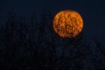 luna piena arancione